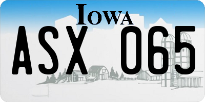 IA license plate ASX065