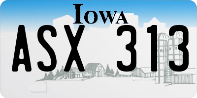 IA license plate ASX313