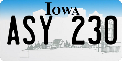 IA license plate ASY230
