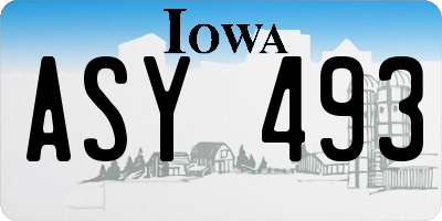 IA license plate ASY493