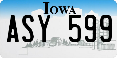 IA license plate ASY599