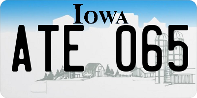 IA license plate ATE065