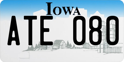 IA license plate ATE080