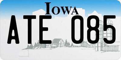 IA license plate ATE085