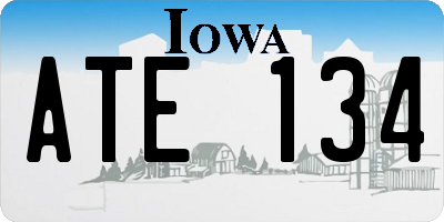 IA license plate ATE134