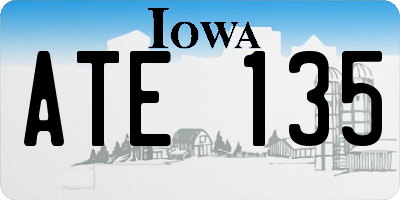 IA license plate ATE135