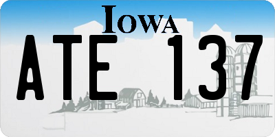 IA license plate ATE137