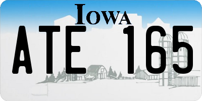 IA license plate ATE165