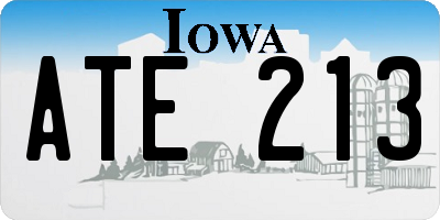 IA license plate ATE213