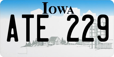 IA license plate ATE229