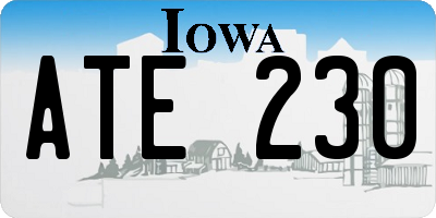 IA license plate ATE230