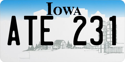 IA license plate ATE231