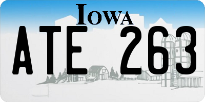 IA license plate ATE263
