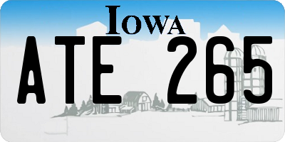 IA license plate ATE265