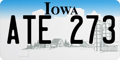 IA license plate ATE273