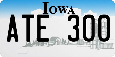 IA license plate ATE300
