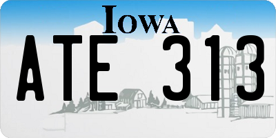 IA license plate ATE313