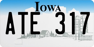IA license plate ATE317