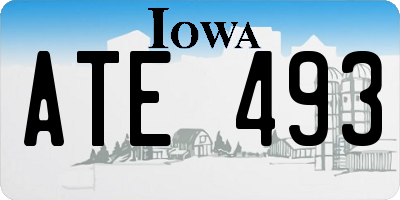 IA license plate ATE493
