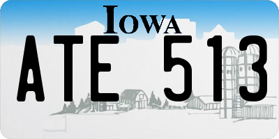 IA license plate ATE513