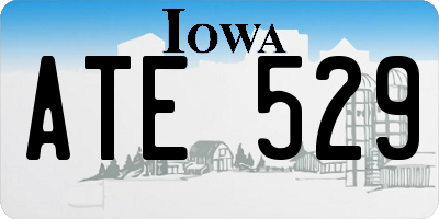 IA license plate ATE529