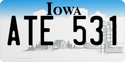 IA license plate ATE531