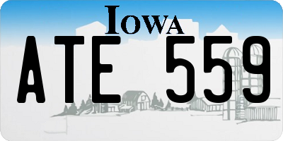 IA license plate ATE559