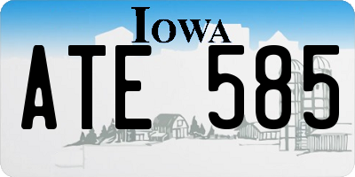 IA license plate ATE585