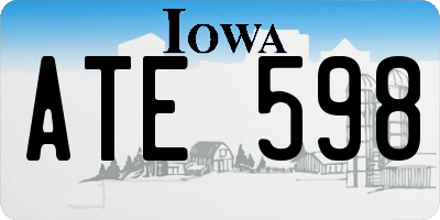 IA license plate ATE598