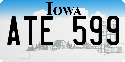 IA license plate ATE599