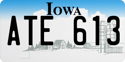 IA license plate ATE613