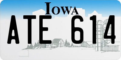 IA license plate ATE614