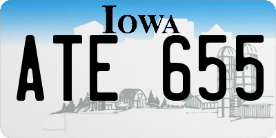 IA license plate ATE655