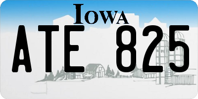 IA license plate ATE825