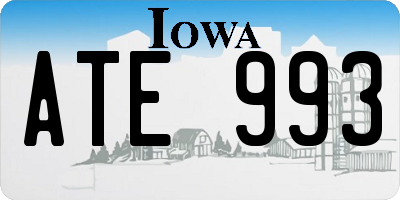IA license plate ATE993