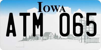 IA license plate ATM065