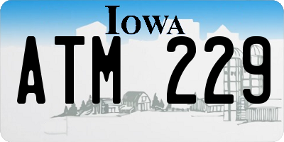 IA license plate ATM229
