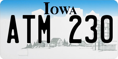 IA license plate ATM230