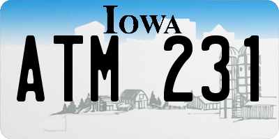 IA license plate ATM231