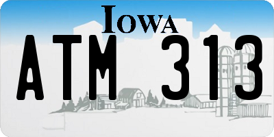 IA license plate ATM313
