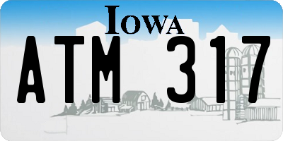 IA license plate ATM317