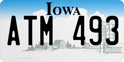 IA license plate ATM493