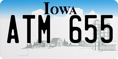 IA license plate ATM655