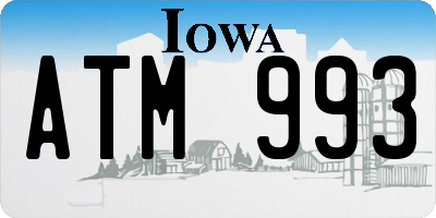 IA license plate ATM993