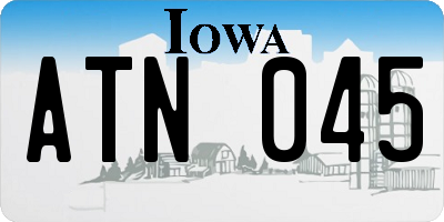 IA license plate ATN045