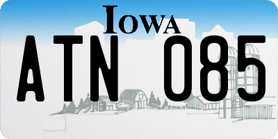 IA license plate ATN085