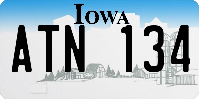 IA license plate ATN134