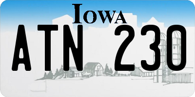 IA license plate ATN230