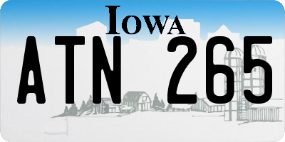 IA license plate ATN265