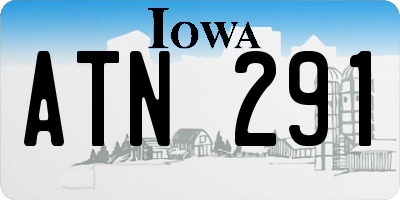 IA license plate ATN291